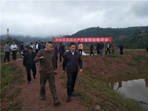 主动作为 合力助推云南双柏县高端水产养殖跨越式发展